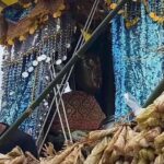 อนุรักษ์-สืบสาน ประเพณีโบราณ 'ลากพระทางน้ำ' หนึ่งเดียวในโลก คลองคีรีวง