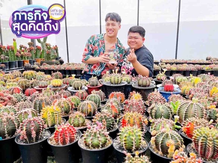 เจอร์รี่ วัชรินทร์