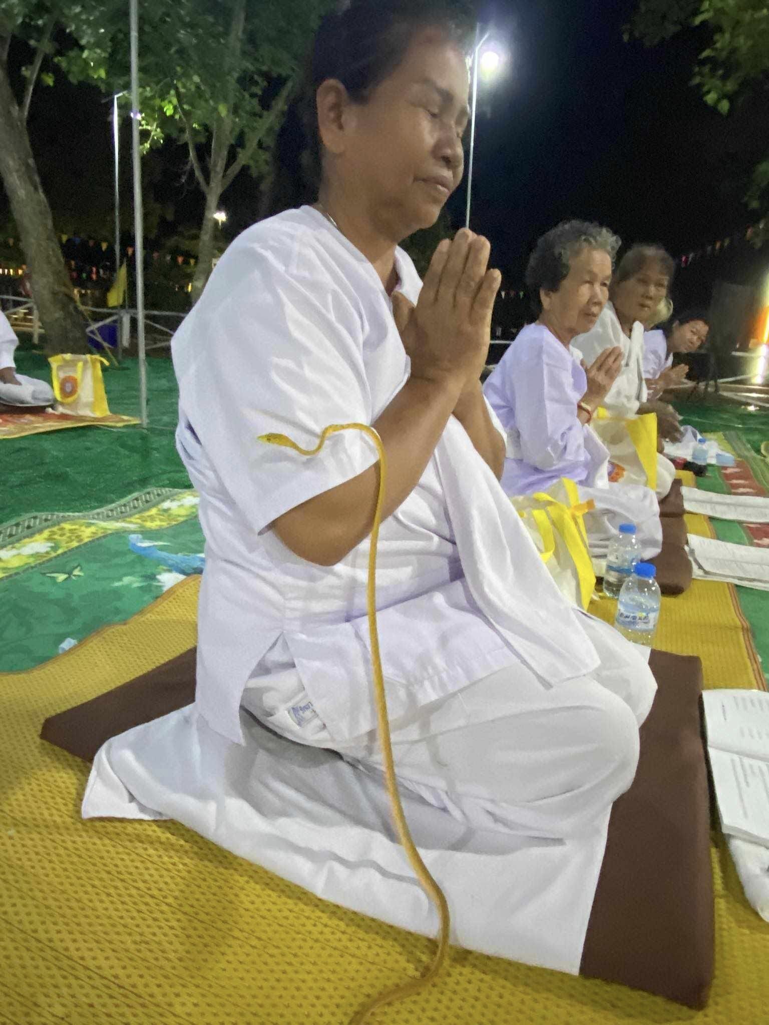 ภาพประกอบหญิงปฏิบัติธรรม งูเลื้อยขึ้นตัว