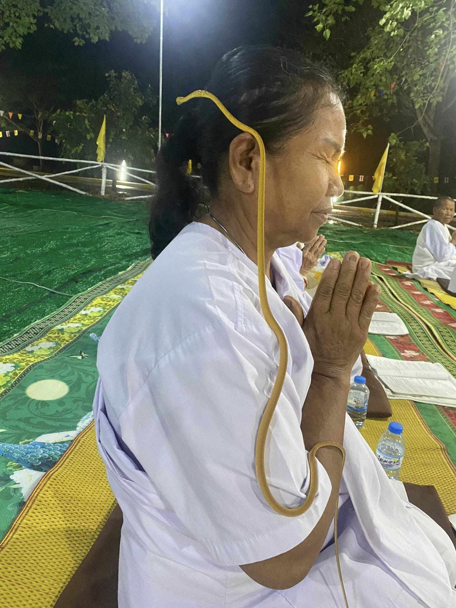 ภาพประกอบหญิงปฏิบัติธรรม งูเลื้อยขึ้นตัว
