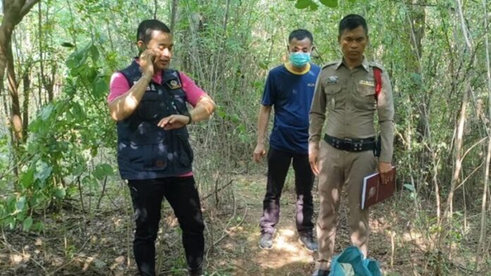 พ้นคุกปีเดียว