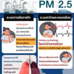สธ. เตือน 'ฝุ่นพิษ' ทำคนป่วยเสี่ยงโรคมะเร็งปอด หญิงท้องสูดมาก กระทบลูกในครรภ์