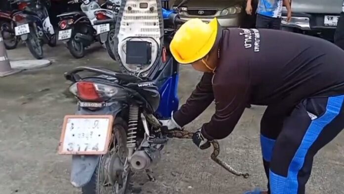 ดึง