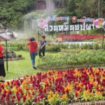 เปิดแล้ว! สวนหมื่นบุปผา โฉมใหม่ ไฉไลกว่าเดิม นักท่องเที่ยว เช็กอินท่องเที่ยวคึกคัก