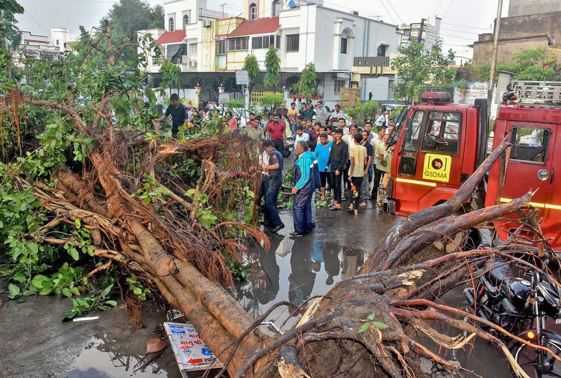 พายุฝนถล่มอินเดีย “ฟ้าผ่าคร่าหมู่” สังเวยแล้ว 24 ราย-ได้รับบาดเจ็บอีกหลายสิบคน