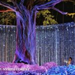 กลับมาแล้ว! "งานแสดงไฟ Nasatta Light Festival ครั้งที่ 6 Winter Illumination" ณ สัทธา อุทยานไทย