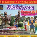 สวนนงนุช ส่งเสริมท่องเที่ยว ขยายโปรผู้สูงอายุเข้าฟรีวันศุกร์ พร้อมลด50% ตลอดเดือน