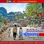 สวนนงนุช ส่งเสริมท่องเที่ยว ขยายโปรผู้สูงอายุเข้าฟรีวันศุกร์ พร้อมลด50% ตลอดเดือน