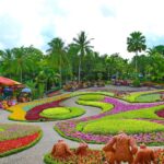 สวนนงนุช ส่งเสริมท่องเที่ยว ขยายโปรผู้สูงอายุเข้าฟรีวันศุกร์ พร้อมลด50% ตลอดเดือน