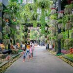 สวนนงนุช ส่งเสริมท่องเที่ยว ขยายโปรผู้สูงอายุเข้าฟรีวันศุกร์ พร้อมลด50% ตลอดเดือน