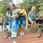 สวนสัตว์เปิดเขาเขียว จัดกิจกรรม “ลอยกระทงอาหารส่งความสุข สู่สัตว์ป่า”