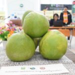 สหรัฐอเมริกาอนุญาตให้นำเข้าส้มโอฉายรังสีของไทยเป็นครั้งแรก