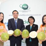 สหรัฐอเมริกาอนุญาตให้นำเข้าส้มโอฉายรังสีของไทยเป็นครั้งแรก