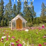 SOL Glamping Khaoyai ที่พักเขาใหญ่ สไตล์แคมป์ปิ้ง บรรยากาศดี ใกล้กรุงเทพ