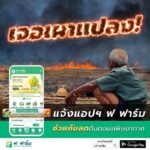 ซีพี “เปิดช่องทางแจ้งเบาะแสเผาข้าวโพด