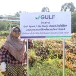 กัลฟ์ เปิดตัว โครงการ “GULF Sparks, Life Starts เติมพลังไฟให้ชีวิต”