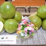 สหรัฐอเมริกาอนุญาตให้นำเข้าส้มโอฉายรังสีของไทยเป็นครั้งแรก