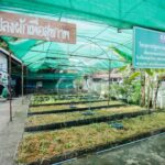 ‘เอไอเอ ประเทศไทย’ มอบรางวัลชนะเลิศสุดยอดโรงเรียนสุขภาพดี รร.ดรุณวิทยา จ.น่าน