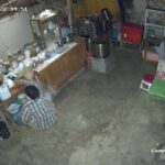 กล้องวงจรปิดจับภาพขโมย ย่องเข้าร้านก๋วยเตี๋ยว เจ้าของใจเด็ดออกไล่ล่า จับโจรส่งตำรวจ