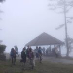 หนาวมาแล้ว ภูกระดึง-ภูเรือ-ภูหลวง อุณหภูมิลดฮวบ อากาศเริ่มเย็นสบาย-หมอกเต็มถนน