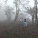 หนาวมาแล้ว ภูกระดึง-ภูเรือ-ภูหลวง อุณหภูมิลดฮวบ อากาศเริ่มเย็นสบาย-หมอกเต็มถนน