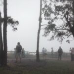 หนาวมาแล้ว ภูกระดึง-ภูเรือ-ภูหลวง อุณหภูมิลดฮวบ อากาศเริ่มเย็นสบาย-หมอกเต็มถนน