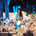 กลับมาแล้ว! "งานแสดงไฟ Nasatta Light Festival ครั้งที่ 6 Winter Illumination" ณ สัทธา อุทยานไทย