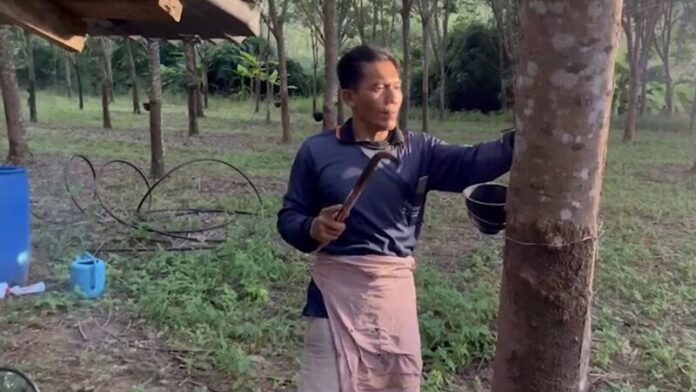 พ่อ