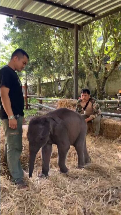 ภาพประกอบจาก กรมอุทยานแห่งชาติ สัตว์ป่า และพันธุ์พืช