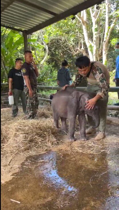 ภาพประกอบจาก กรมอุทยานแห่งชาติ สัตว์ป่า และพันธุ์พืช