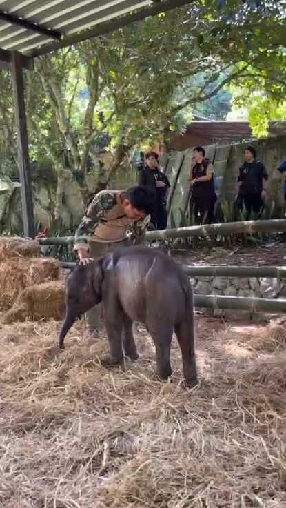 ภาพประกอบจาก กรมอุทยานแห่งชาติ สัตว์ป่า และพันธุ์พืช