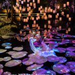 กลับมาแล้ว! "งานแสดงไฟ Nasatta Light Festival ครั้งที่ 6 Winter Illumination" ณ สัทธา อุทยานไทย