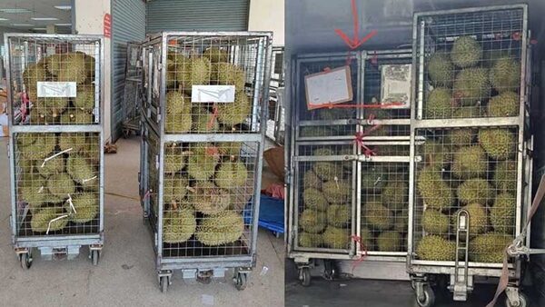 ไปรษณีย์ไทย แจงแล้ว ปมร้านบุฟเฟต์ดังย่านประชาชื่น ร้องเรียน ทุเรียนหาย 10 ลูก สั่งเร่งตรวจสอบ