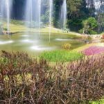 อ.ส.พ.ชวนเที่ยวBotanic Festival 2024 “พฤกษ์ภิรมย์ ชมพรรณหญ้า”
