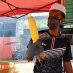 ขายข้าวโพดเผาเตาถ่าน ลูกค้าต่อแถวรอซื้อแน่น สร้างรายได้ปัง หมื่นบาทต่อวัน