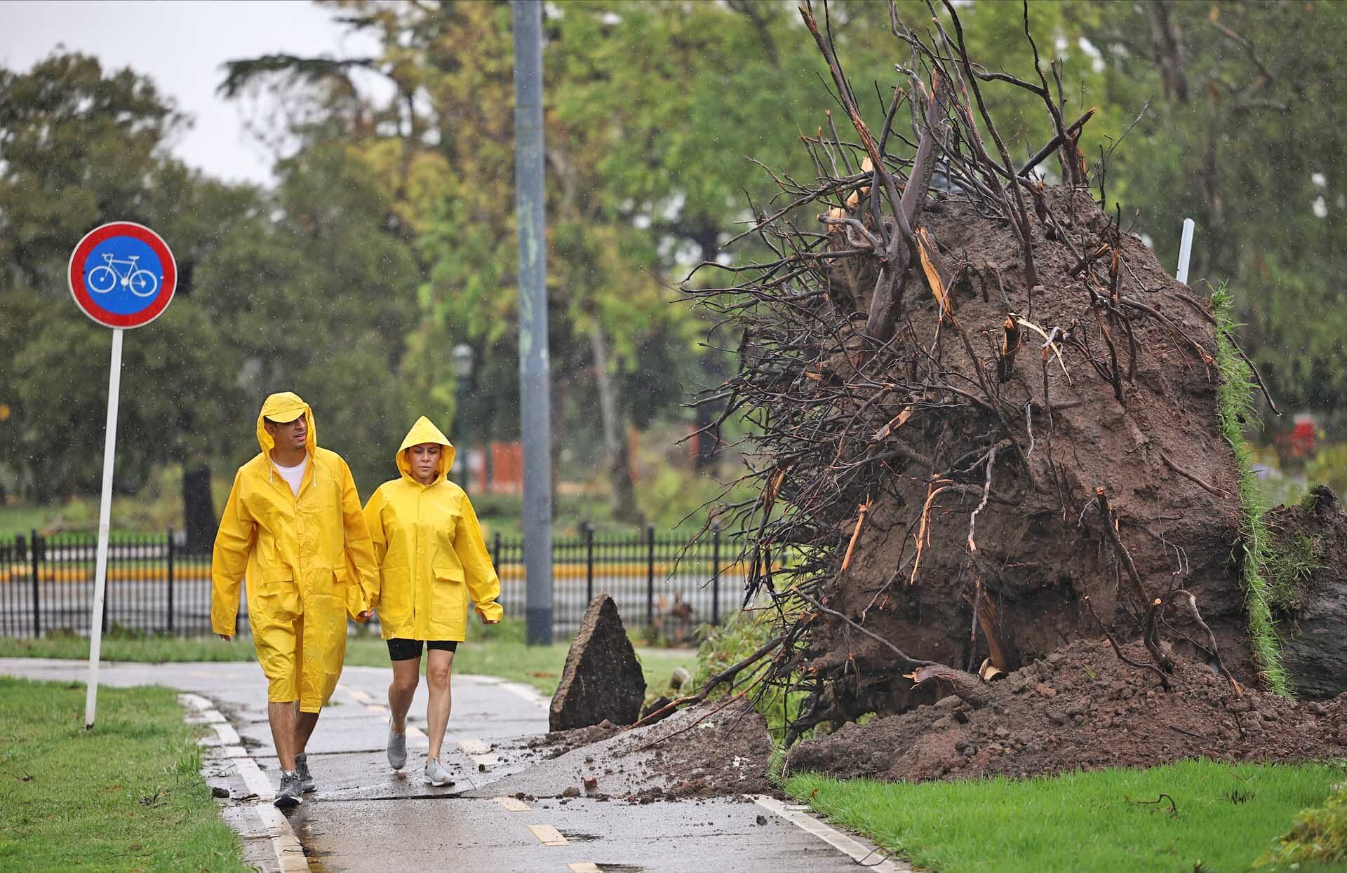 พายุซัดถล่มอาร์เจนตินา “ฝนหนัก-ลมกระโชกแรง” สังเวยแล้ว 14 ราย-เจ็บอื้อ