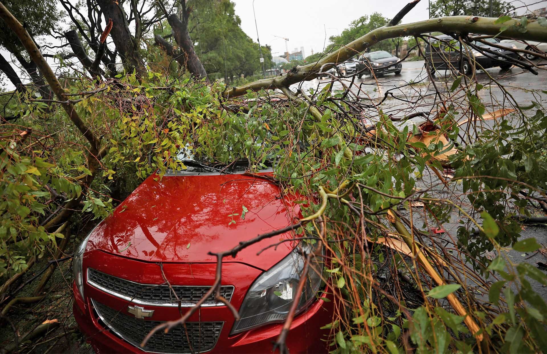พายุซัดถล่มอาร์เจนตินา “ฝนหนัก-ลมกระโชกแรง” สังเวยแล้ว 14 ราย-เจ็บอื้อ