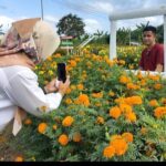 เนรมิตดอกไม้ สวนแห่งรักษ์ สุดคึกคักแหล่งท่องเที่ยวใหม่ คาดปีใหม่นทท.แห่เที่ยวตรึม