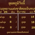 อากาศหนาวต่อเนื่อง เกิดน้ำค้างแข็ง ยอดดอยอินทนนท์ 6 องศา นักท่องเที่ยวครึ่งหมื่นคึกคัก เก็บภาพป้ายบอกอุณหภูมิ 