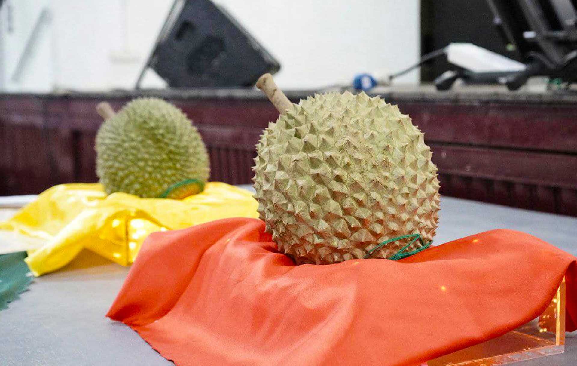 มาเลเซียประมูล “ทุเรียนมูซังคิง” แพงที่สุดสุดในโลก-ราคากระฉูด 1.38 ล้านบาท!