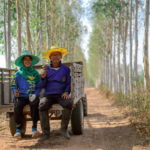 กว่า 10 ปีของ ACE สู่เป้าหมายโรงไฟฟ้า NET ZERO