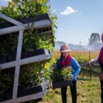 กว่า 10 ปีของ ACE สู่เป้าหมายโรงไฟฟ้า NET ZERO
