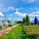 กว่า 10 ปีของ ACE สู่เป้าหมายโรงไฟฟ้า NET ZERO
