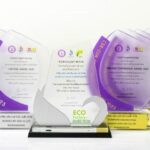 กว่า 10 ปีของ ACE สู่เป้าหมายโรงไฟฟ้า NET ZERO