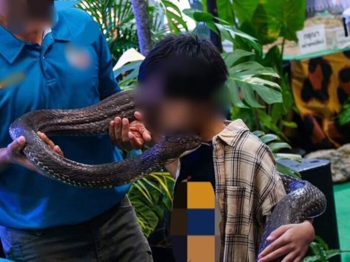 ในข่าว