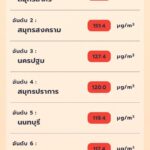 วิกฤตประเทศไทย 22 จังหวัด สำลัก PM2.5 คนกรุงทนจมฝุ่นพิษ ทุกเขตพื้นที่สีแดง