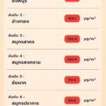 PM 2.5 วิกฤต จิสด้า แจ้ง 20 จว. เกินมาตรฐาน ระดับสีแดง ส่วน คนกรุง 28 เขต สูดดมฝุ่นพิษ