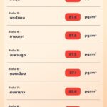 PM 2.5 วิกฤต จิสด้า แจ้ง 20 จว. เกินมาตรฐาน ระดับสีแดง ส่วน คนกรุง 28 เขต สูดดมฝุ่นพิษ