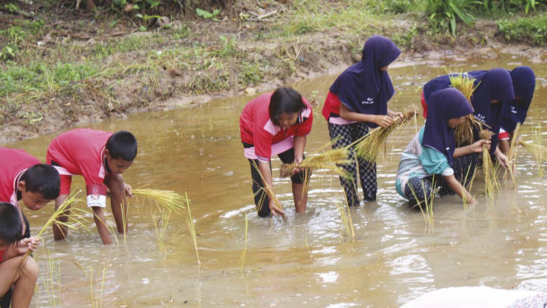สดจากเยาวชน - เด็กยะลาลงแขกดำนา ปลูกข้าวสืบวิถีไทย