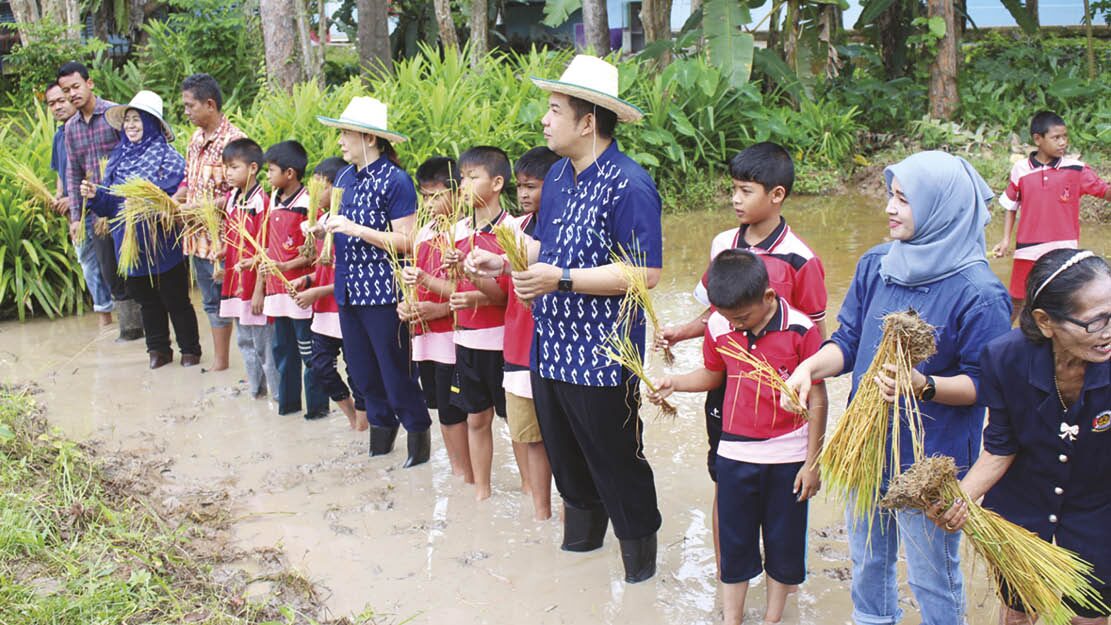 สดจากเยาวชน - เด็กยะลาลงแขกดำนา ปลูกข้าวสืบวิถีไทย